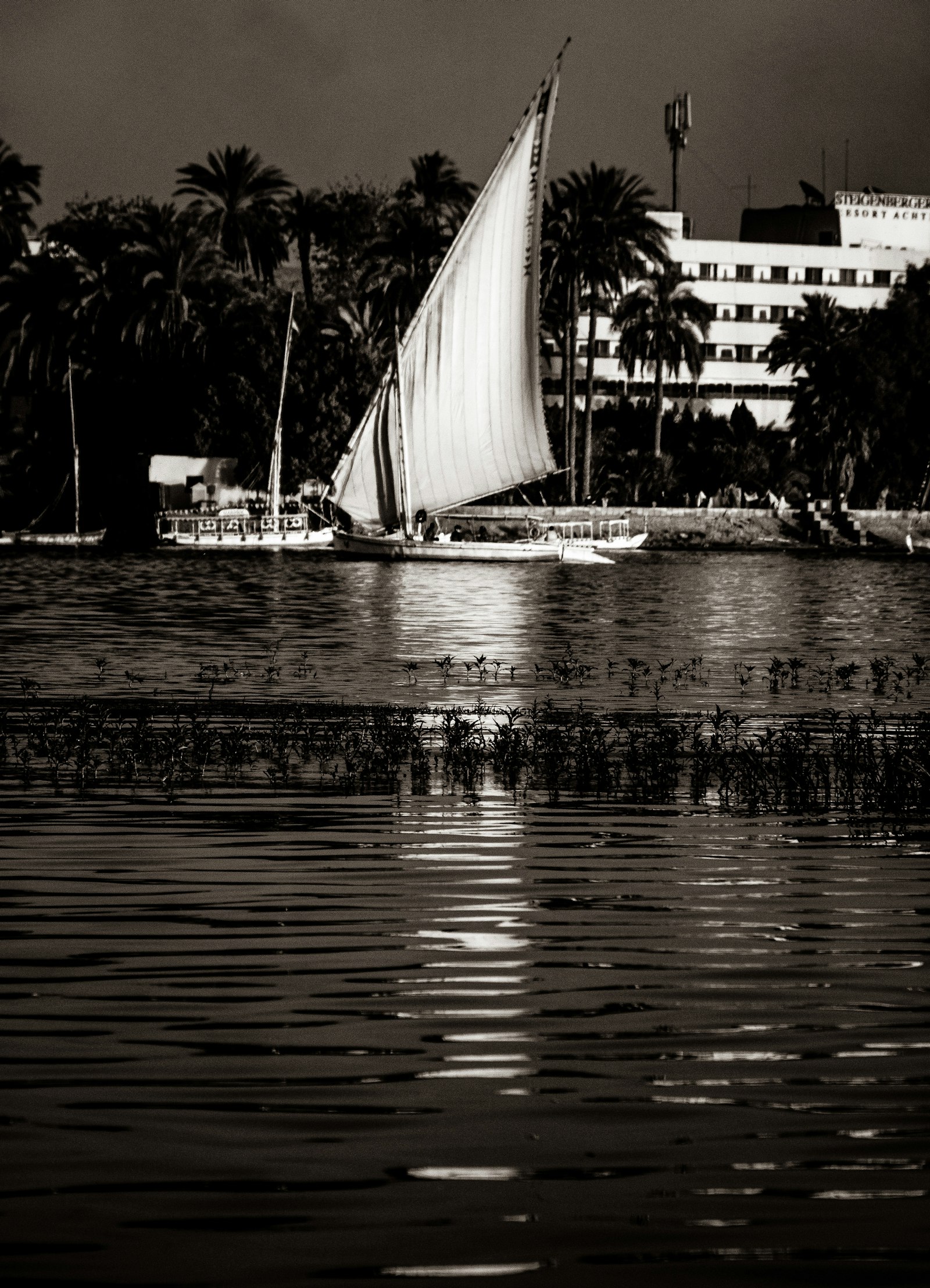 Felucca boat on the Nile