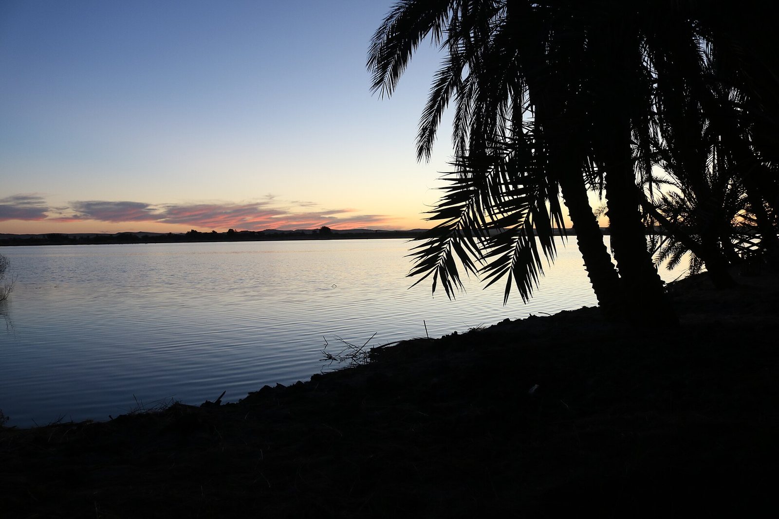 Siwa Safari & Cairo